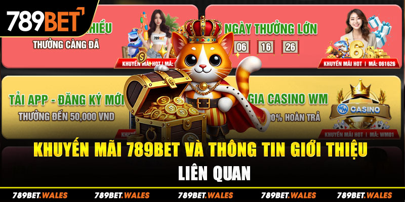 Khuyến mãi 789Bet và thông tin giới thiệu liên quan 