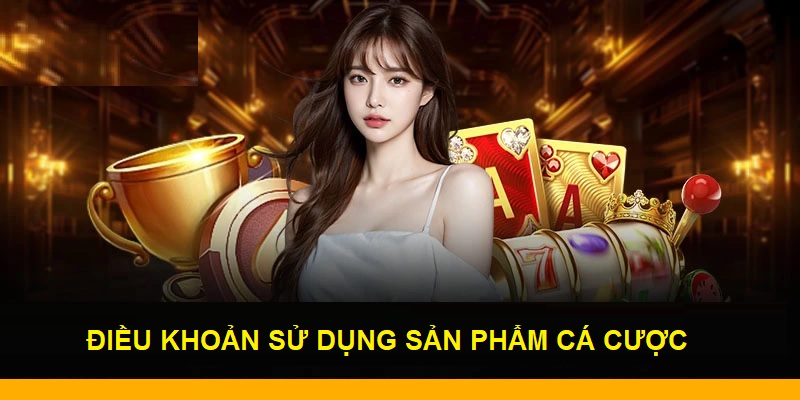 Các điều khoản sử dụng 789bet để cá cược