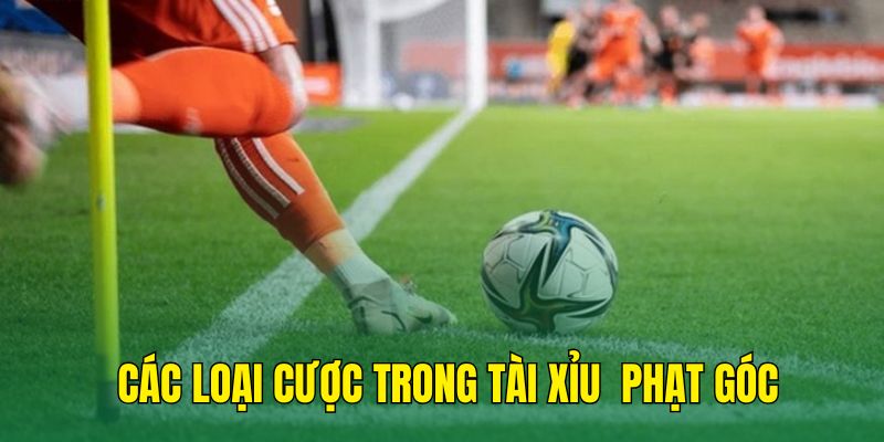 Những loại cược của tài xỉu phạt góc