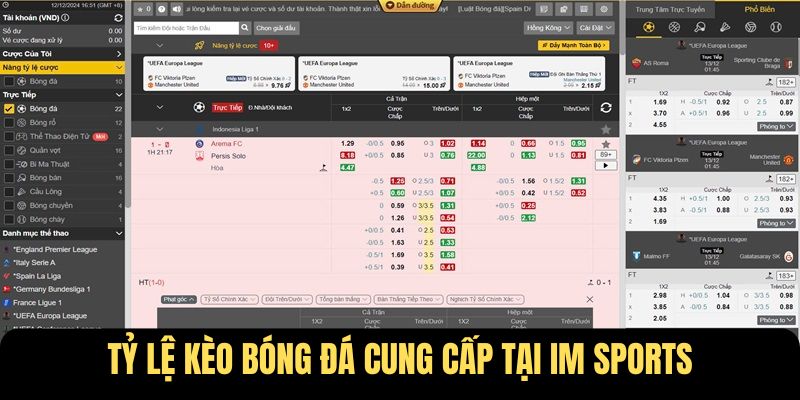 Tỷ lệ kèo bóng đá cung cấp tại IM Sports